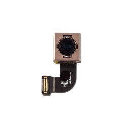 iPhone 8/ iPhone SE (2020) Back Camera